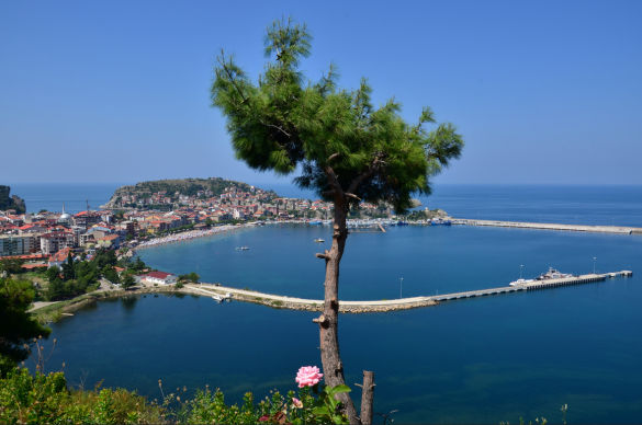 amasra 4