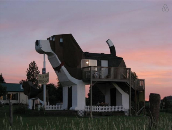 hunde hotel