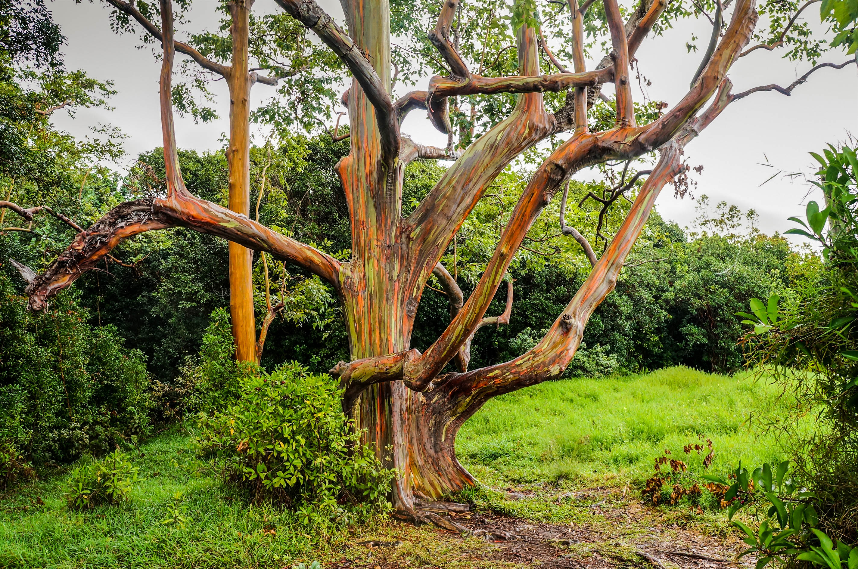Diese Naturphänomene sind unglaublich Urlaubsguru.at