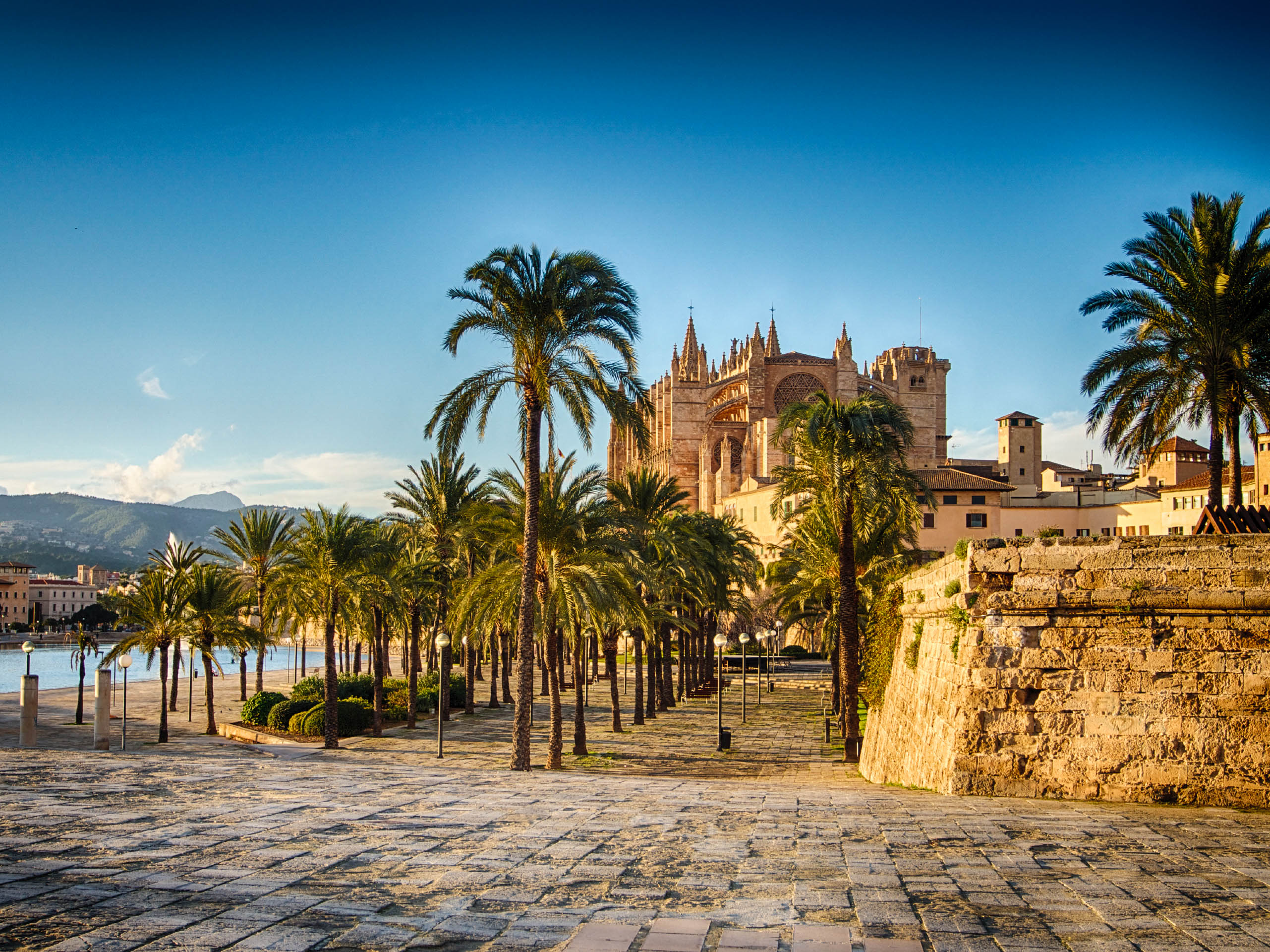 Die Kathedrale von Palma de Mallorca