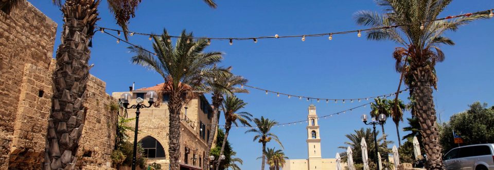 kochbuch tel aviv die kultrezepte jdisch kochen mit rezepten der ... kochbuch tel aviv die kultrezepte jdisch kochen mit rezepten der ...