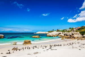Reiseziele Oktober_Badeurlaub_Südafrika