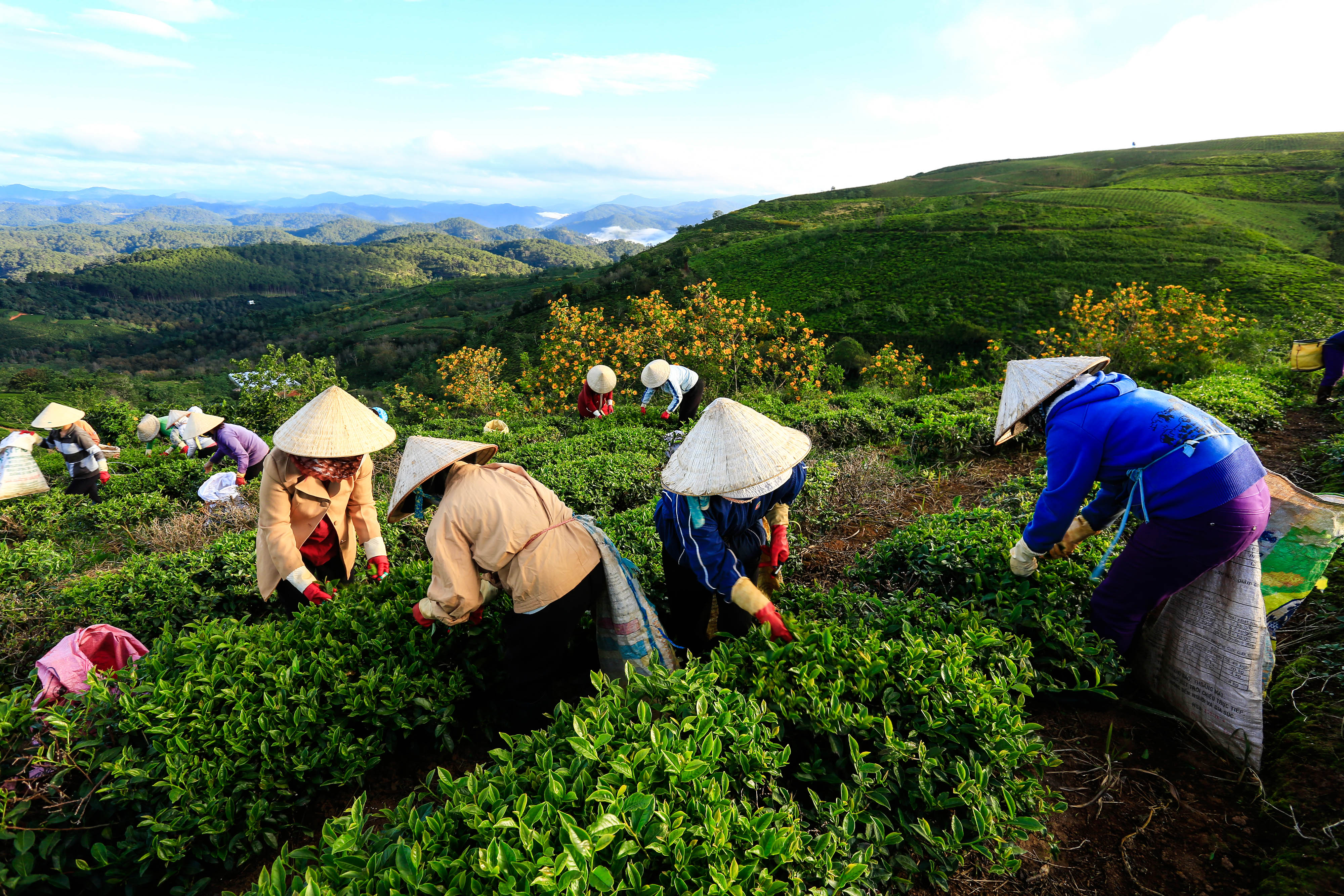 Da Lat Vietnam