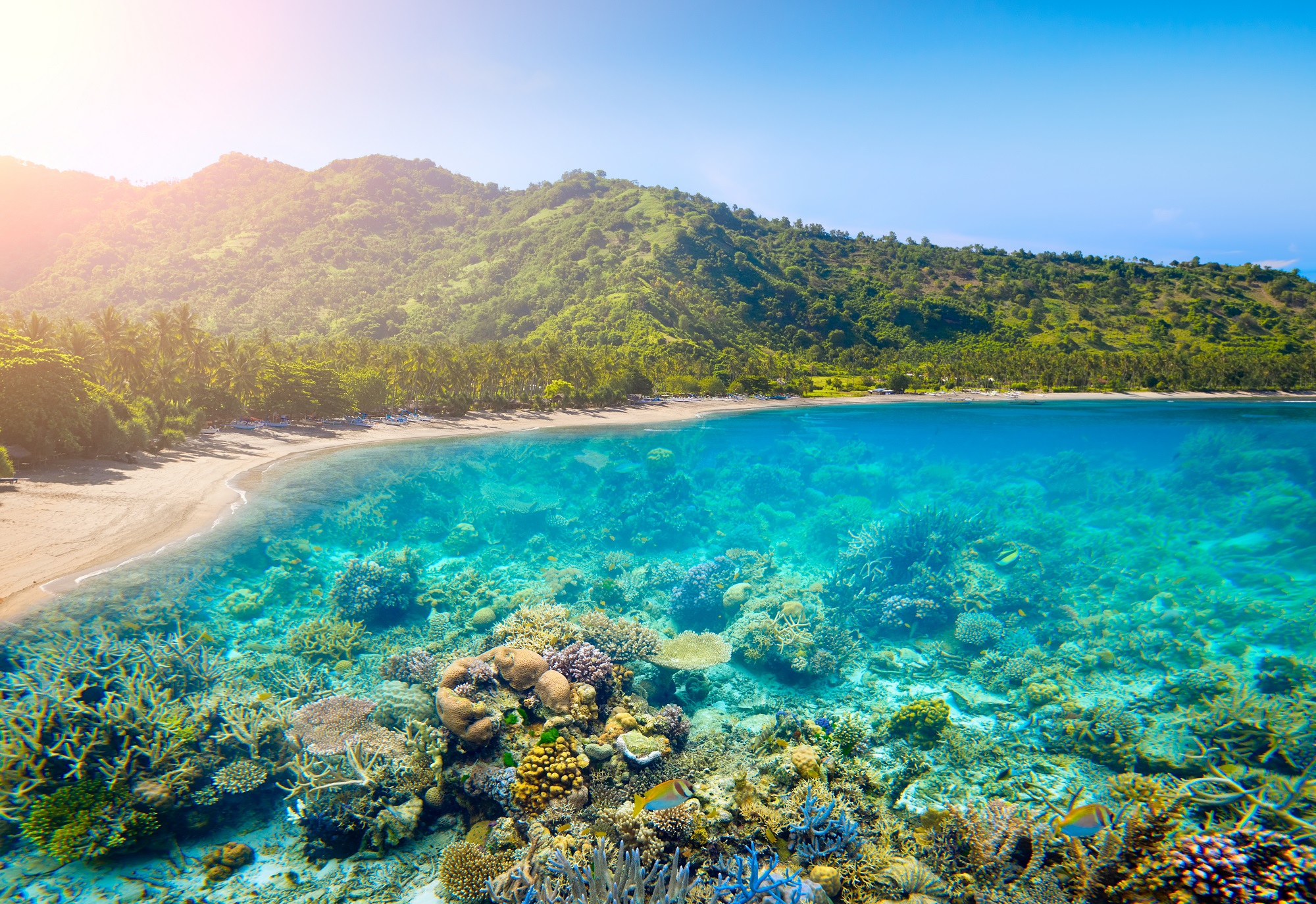  Lombok  in Indonesien  Balis kleine Schwester