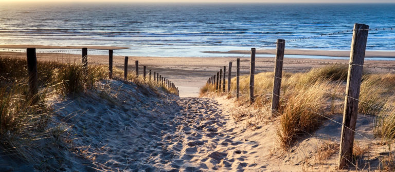 Singlereisen borkum