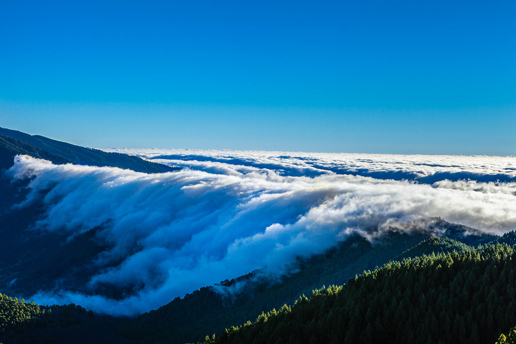 Wandern auf La Palma