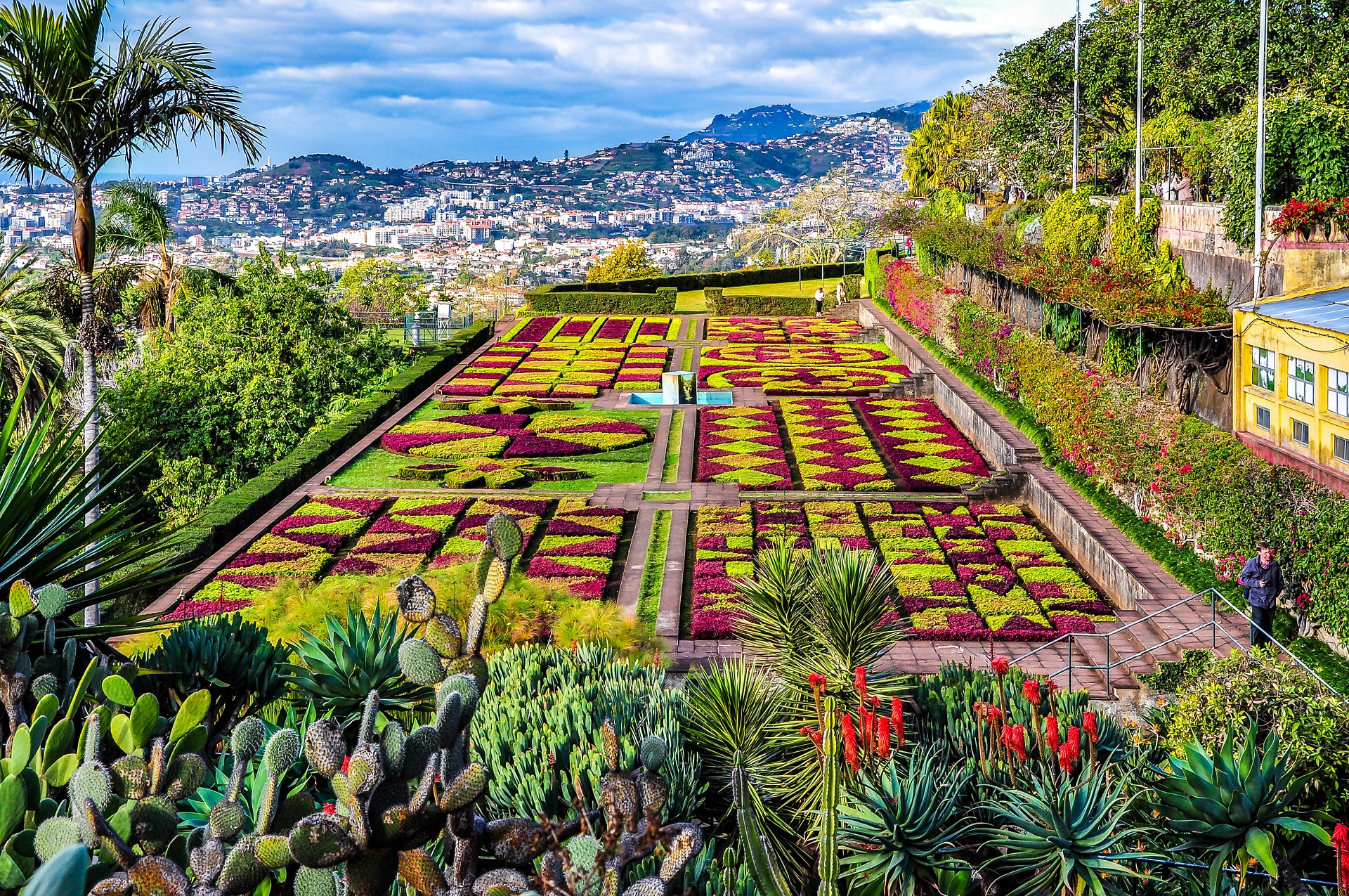 Madeira Die besten Tipps und günstige Angebote Urlaubsguru