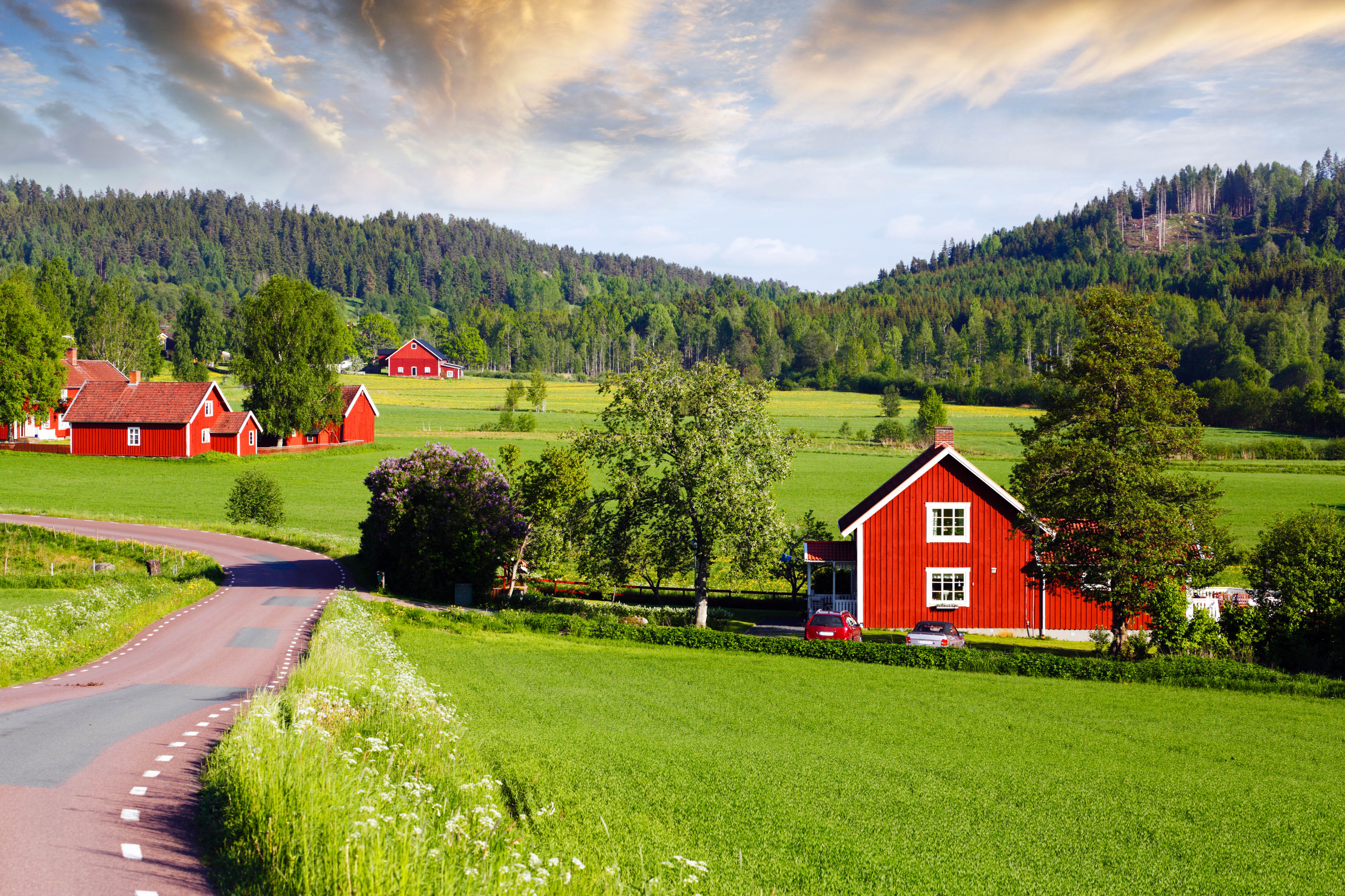 vegan reisen schweden