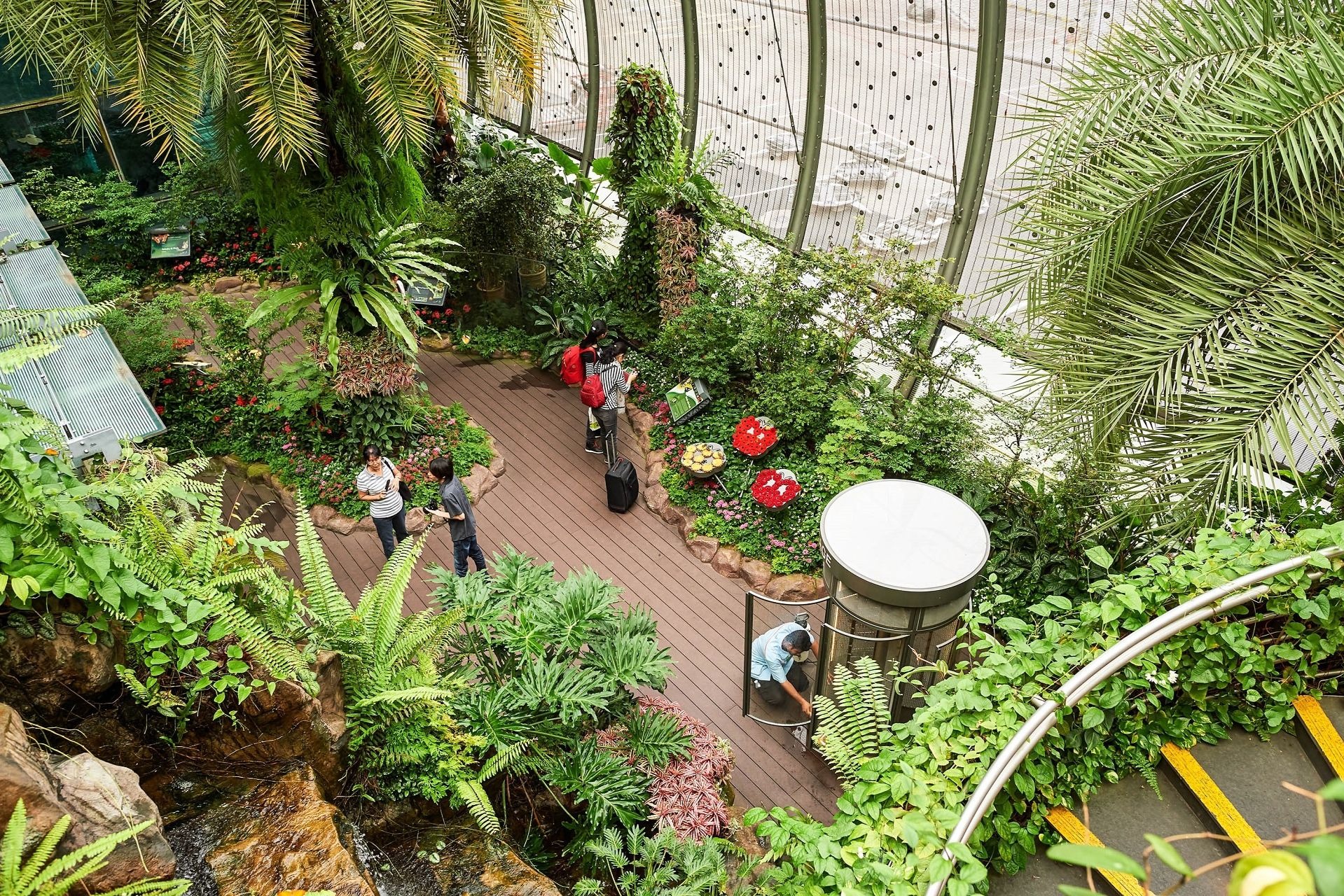 Das Tropenhaus am Flughafen von Singapur.
