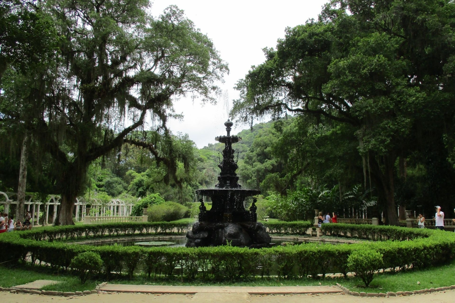 Der Botanische Garten in leuchtendem Grün