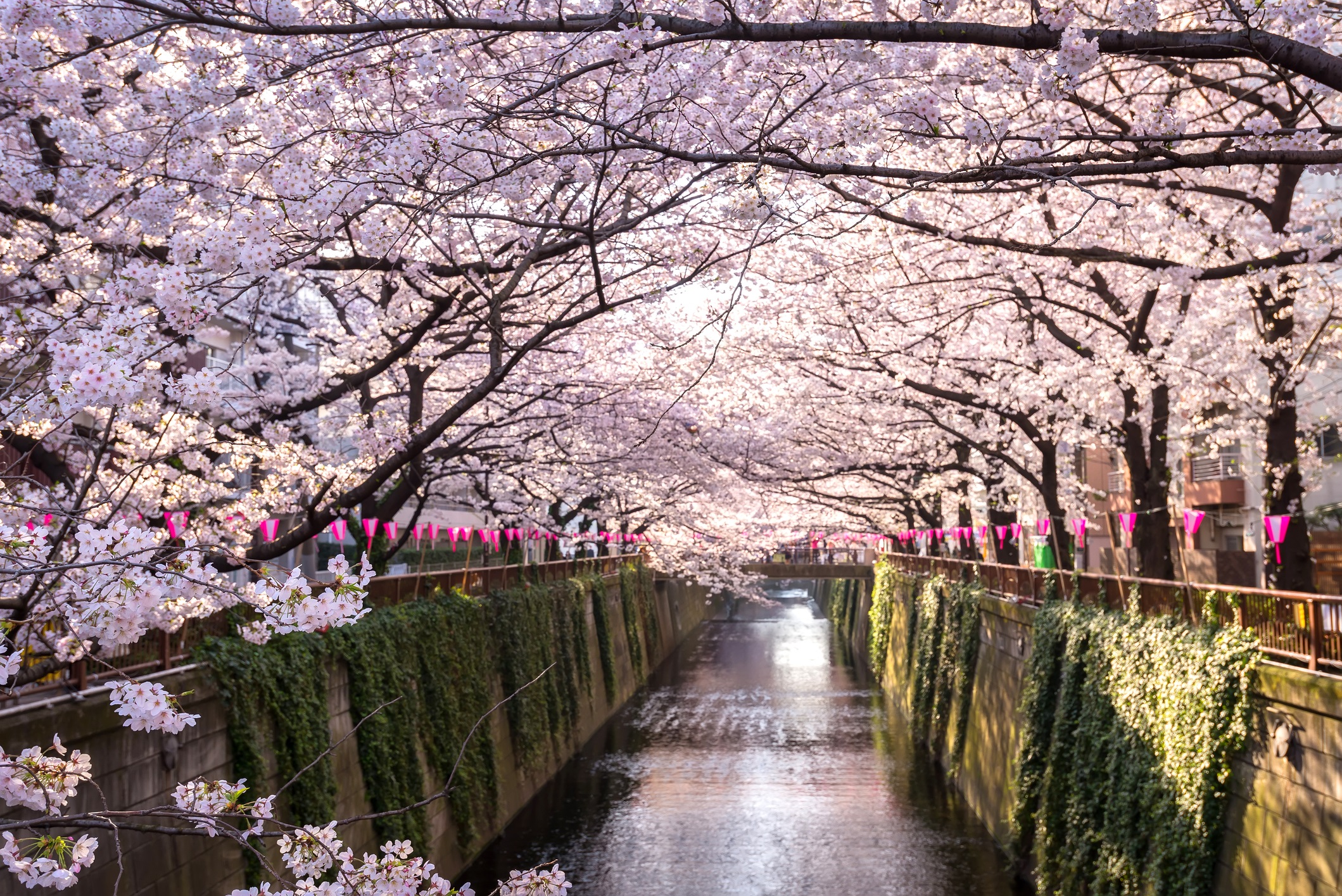 Tokio Sehenswürdigkeiten: Meine Top 15 | Urlaubsguru